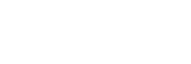 球信网集团电子(NSCN)